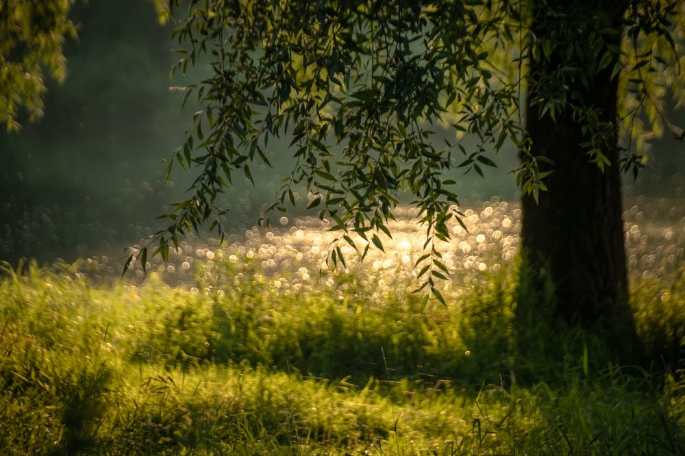 Photograph by Татьяна Романова