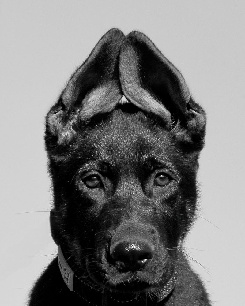 Photograph by Сергей Жиркевич