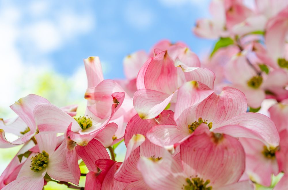 Photograph by Анастасия Кашенко