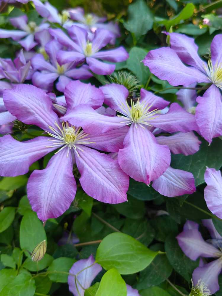 Photograph by Анастасия Никулина