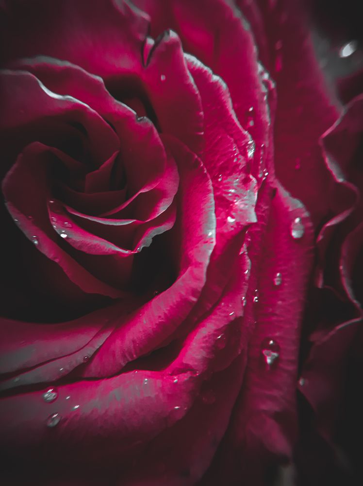 Photograph by Анастасия Никулина