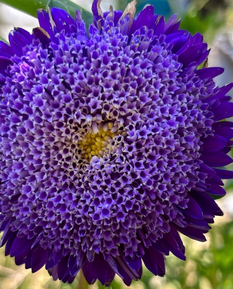 Photograph by Анастасия Никулина