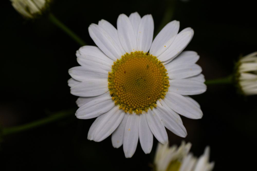 Photograph by Илья Кулаков