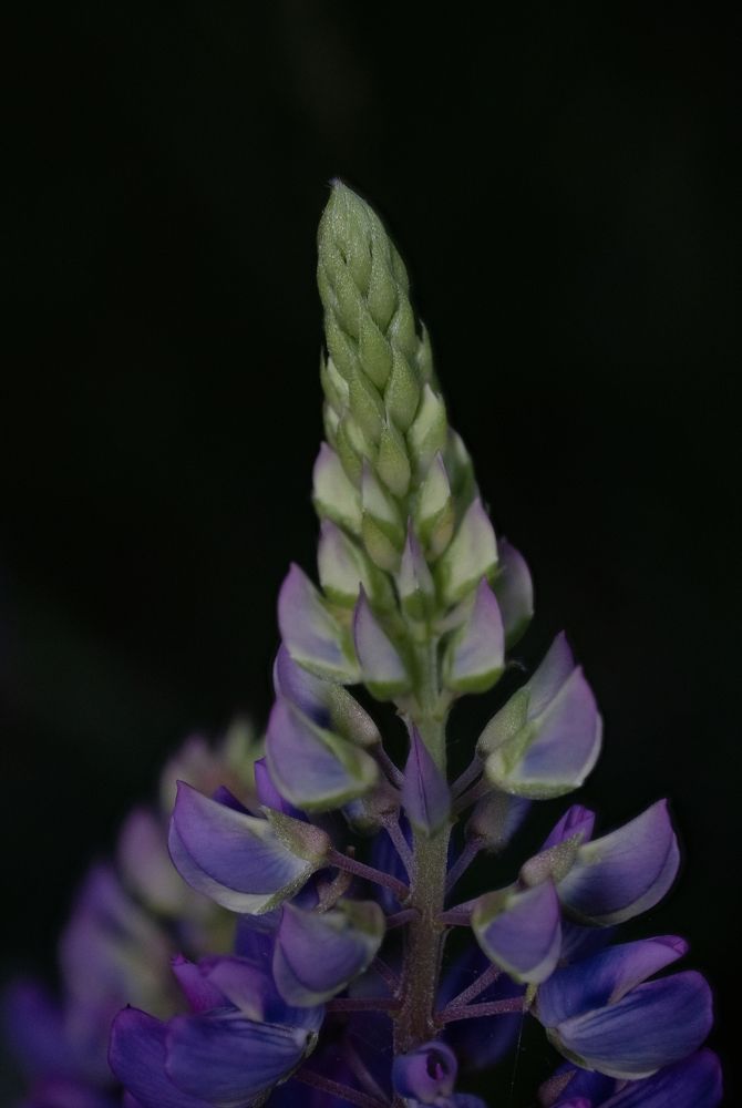 Photograph by Илья Кулаков