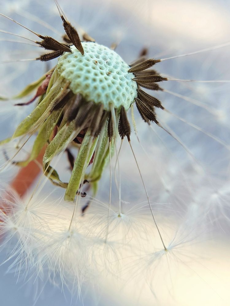 Photograph by Yuliya Karpova