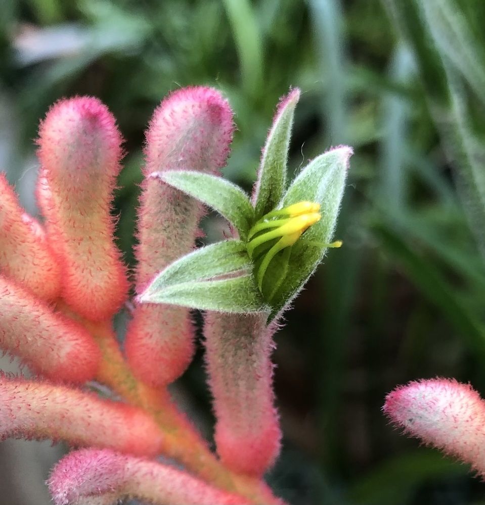 Photograph by Мария Бессмертная