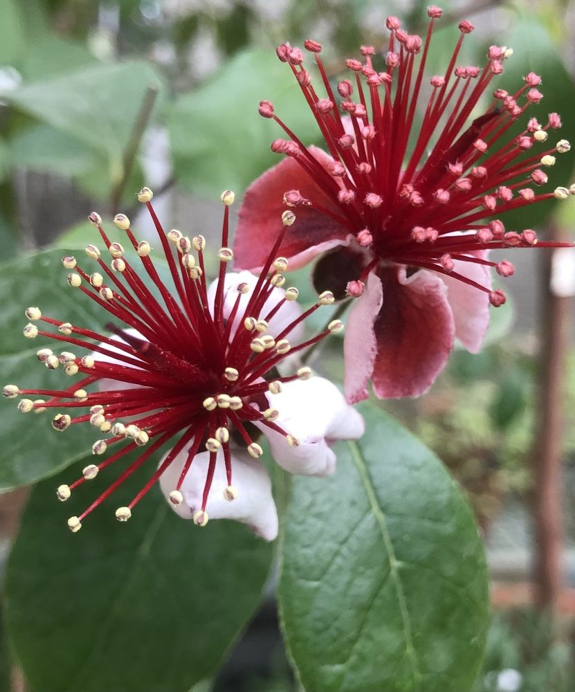 Photograph by Мария Бессмертная