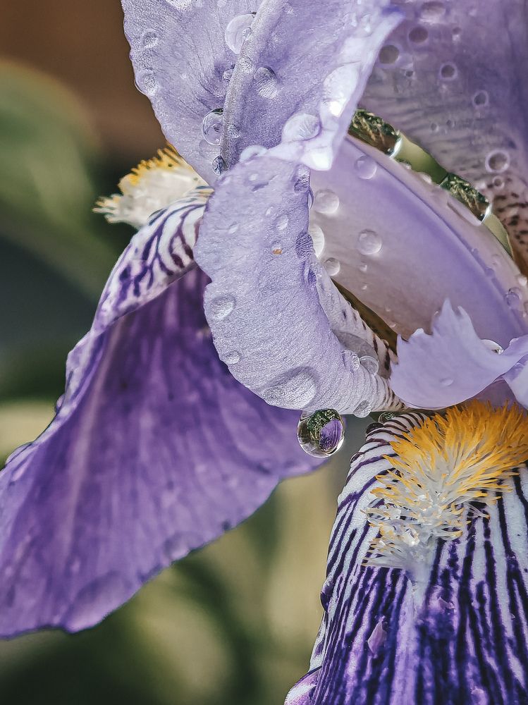 Photograph by Екатерина Савеня