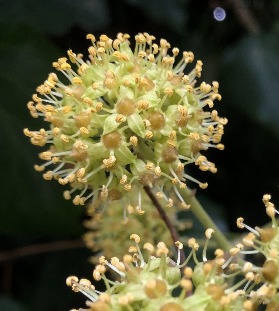 Photograph by Мария Бессмертная