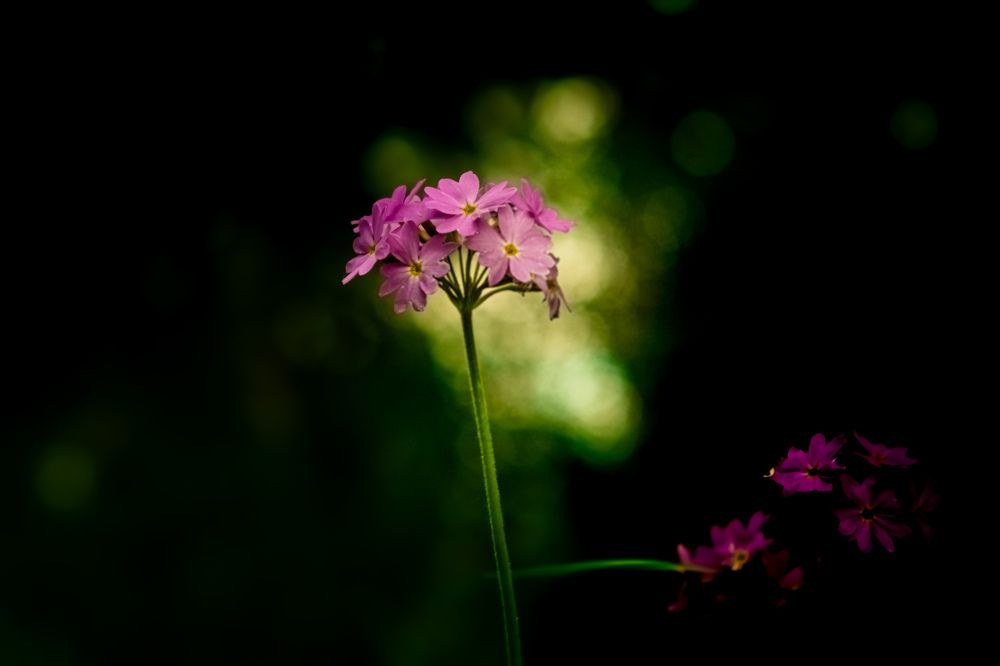 Photograph by Kostantin Belonogov