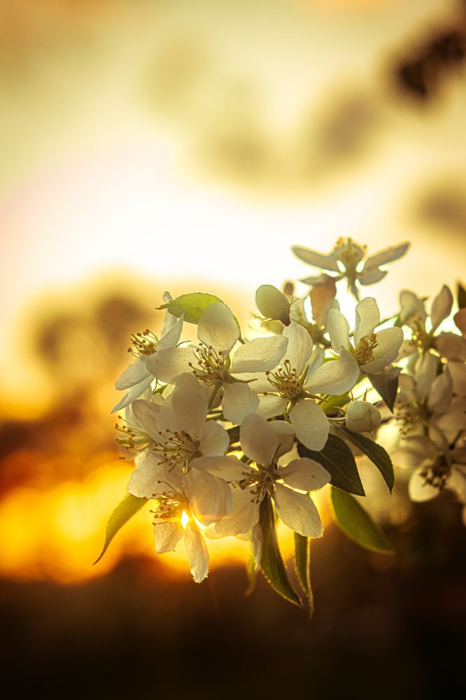 Photograph by Kostantin Belonogov