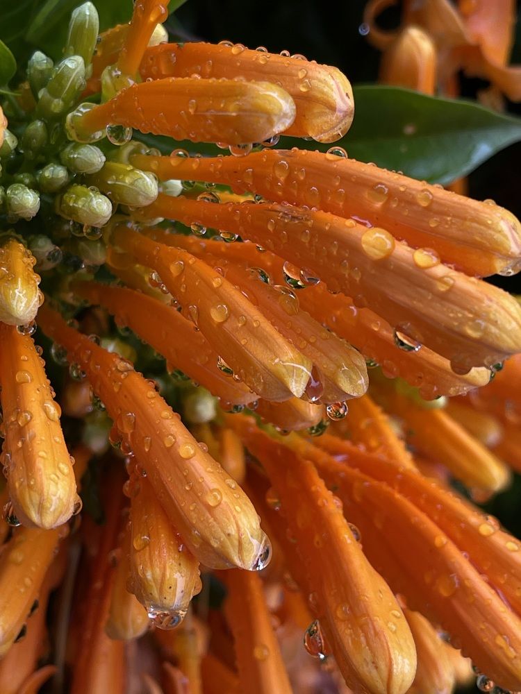 Photograph by Svetlana Garifullina