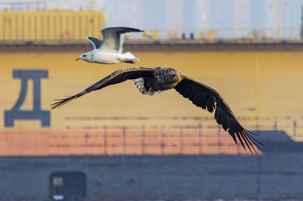 Photograph by Sergey Tsubanov