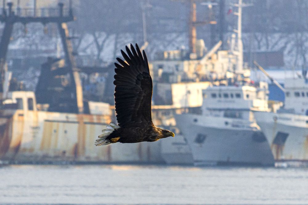 Photograph by Sergey Tsubanov