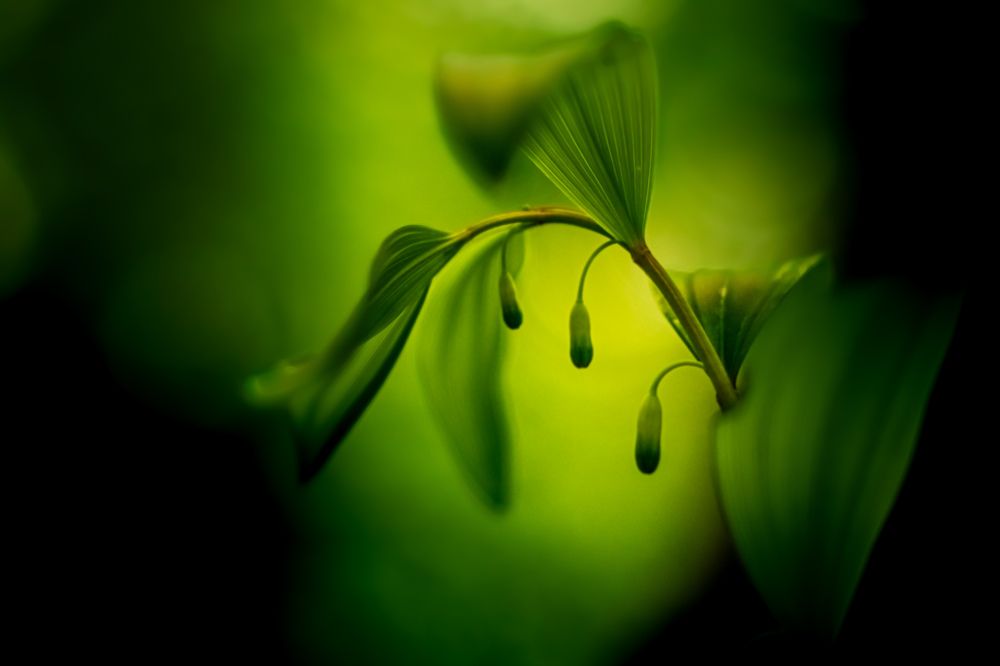 Photograph by Kostantin Belonogov