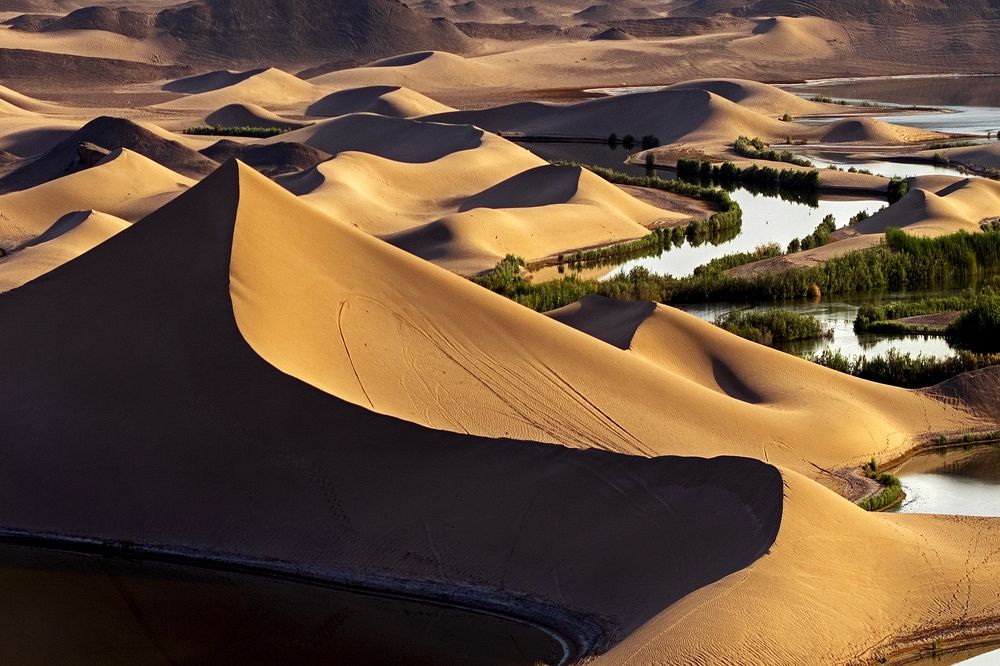 Photograph by Amirhossein Yousefi Keysari