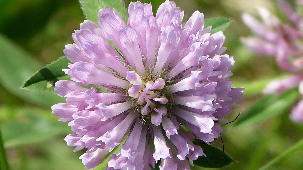 Photograph by Максим Владимирович