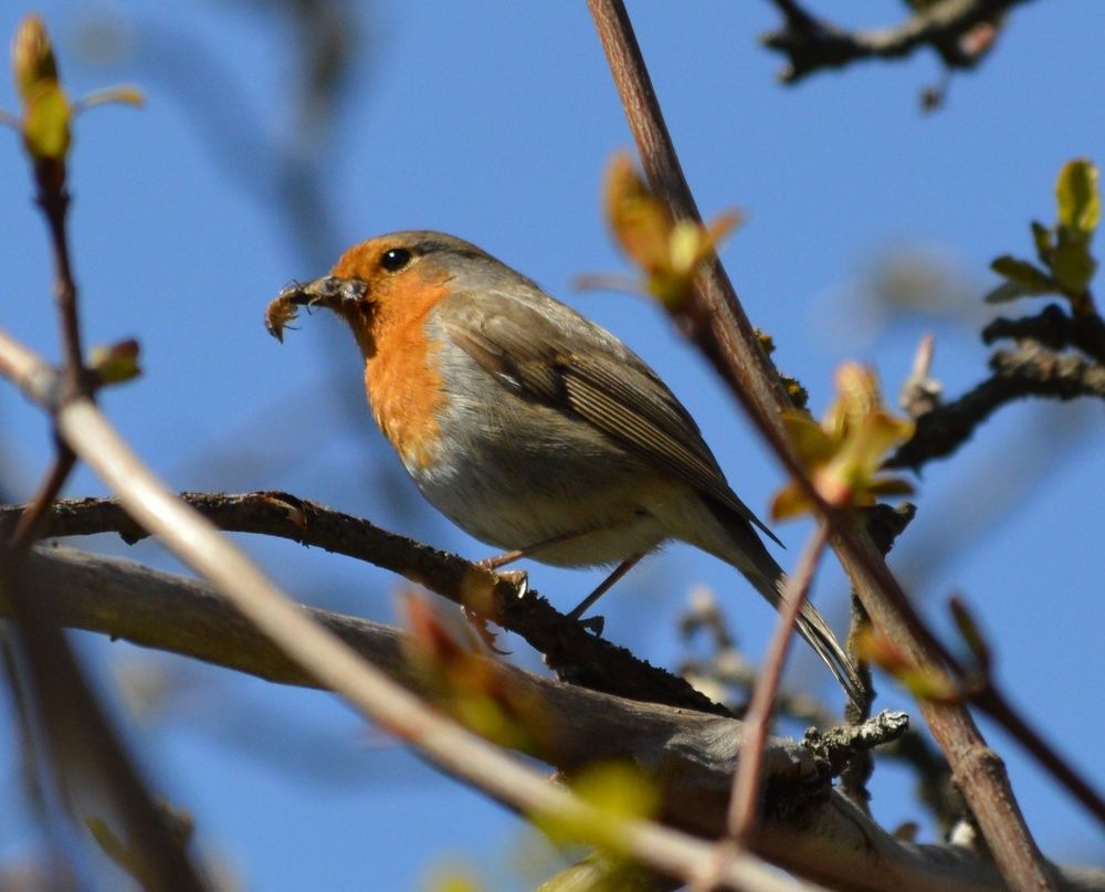 Photograph by Екатерина Казарцева