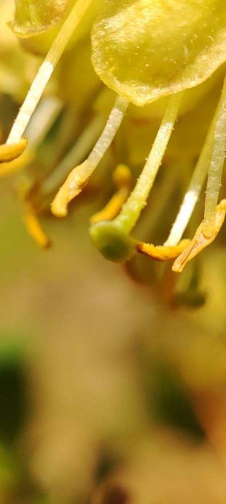 Photograph by Евгений Захаров