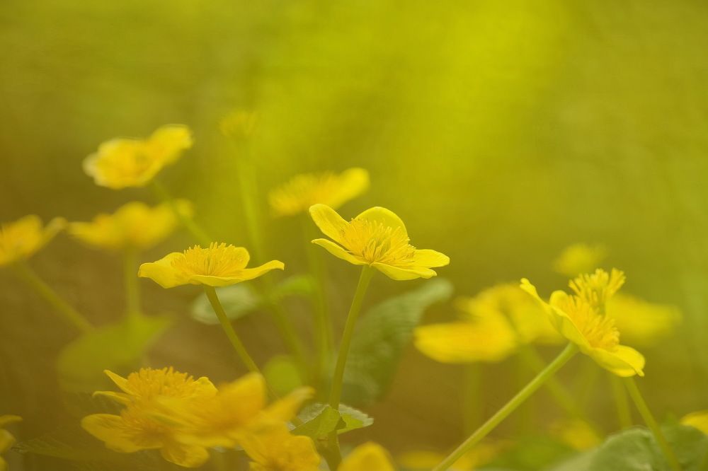 Photograph by Александр Кордюков