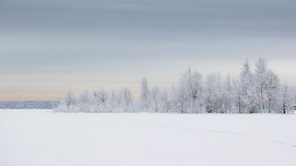 Фотография автора Фёдор Баронов