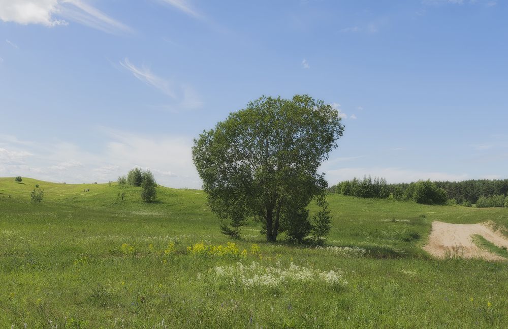 Photograph by Cергей Черныш