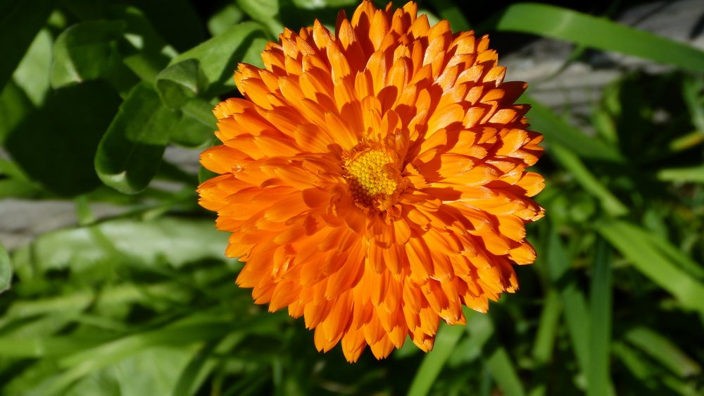 Photograph by Максим Владимирович