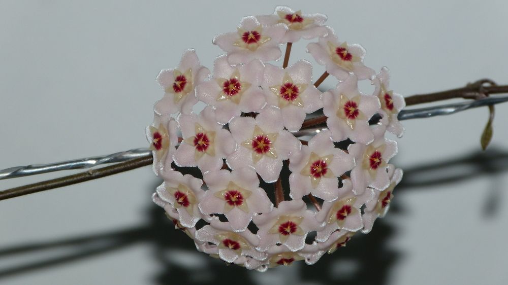 Photograph by Максим Владимирович