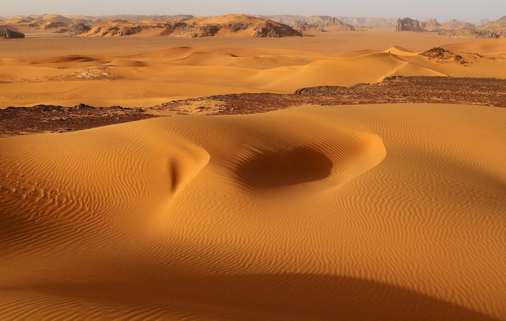 Photograph by Диана Жагрина