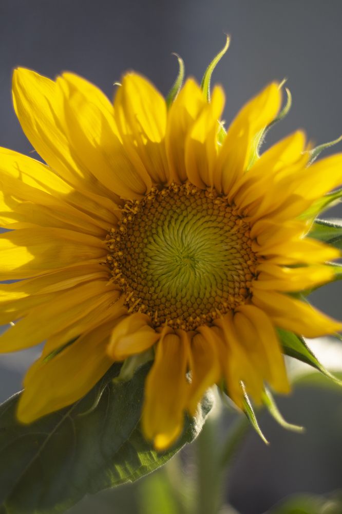 Photograph by Anna Dubinina