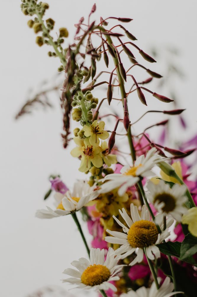 Photograph by Anna Dubinina