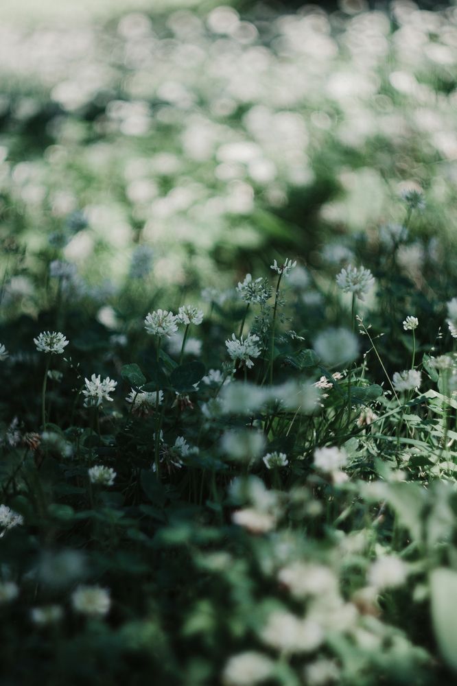 Photograph by Anna Dubinina