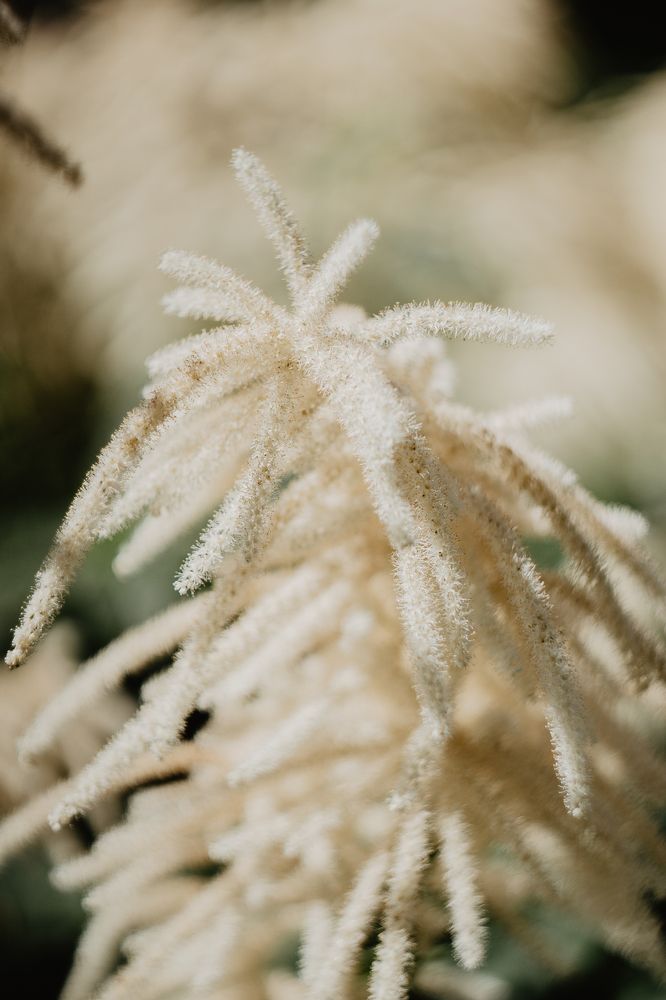 Photograph by Anna Dubinina