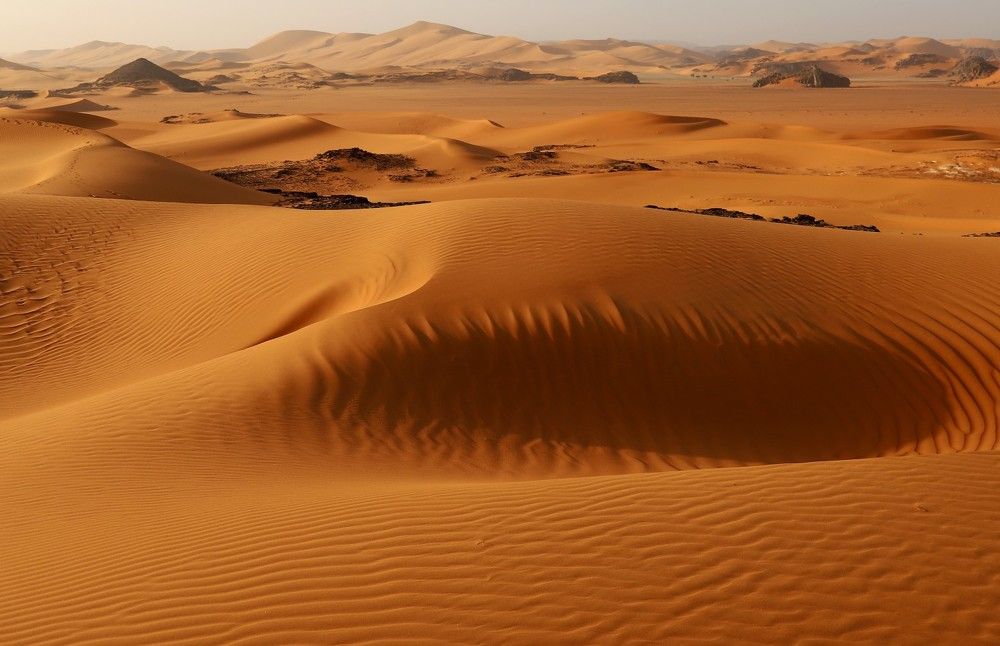 Photograph by Диана Жагрина