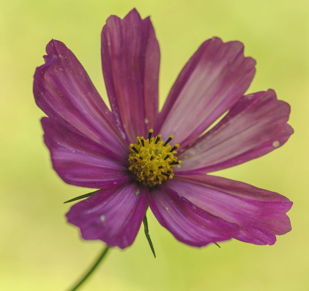 Photograph by Армашов-Тельник Григорий