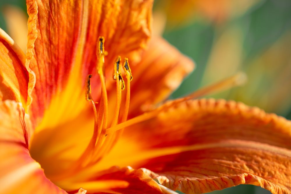 Photograph by Максим Жухлистов