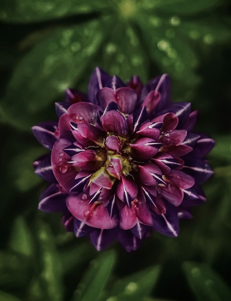 Photograph by Олеся Королева