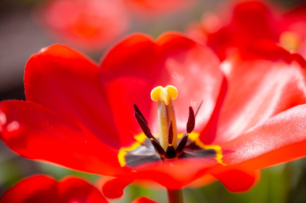 Фотография автора Максим Жухлистов