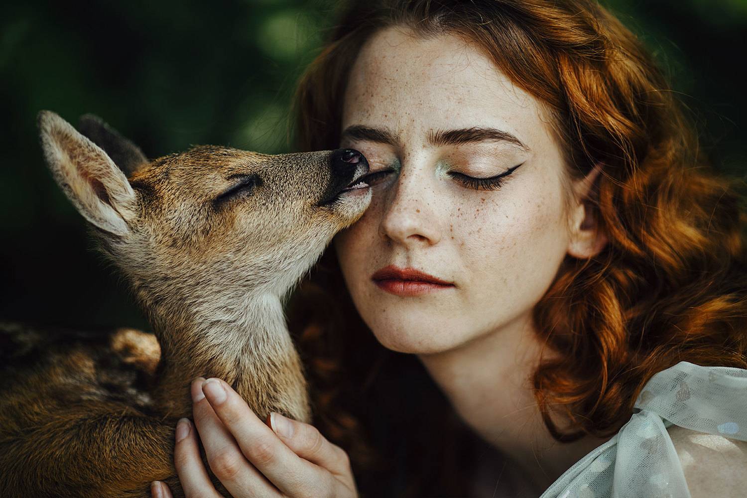 Фотография #10874169