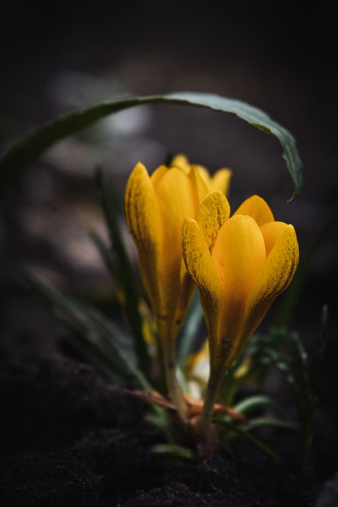 Photograph by María Gromiko