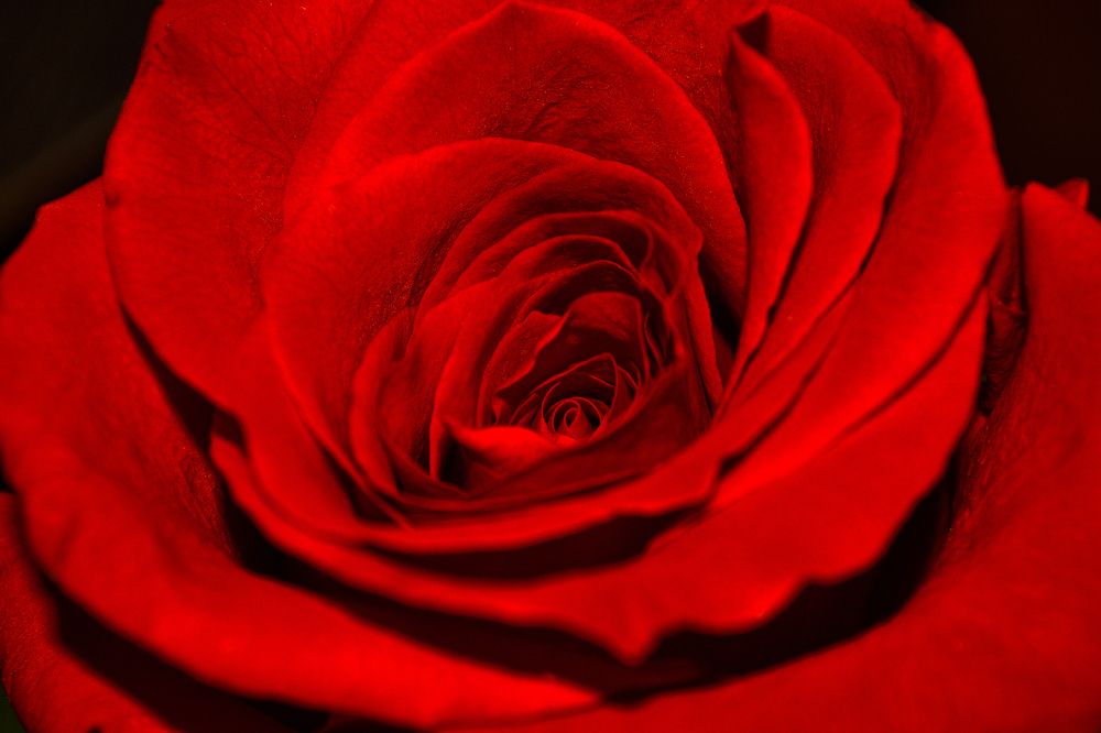 Фотография автора Екатерина Высоцкая