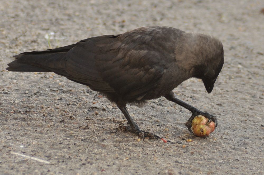 Photograph by Николай Леухин