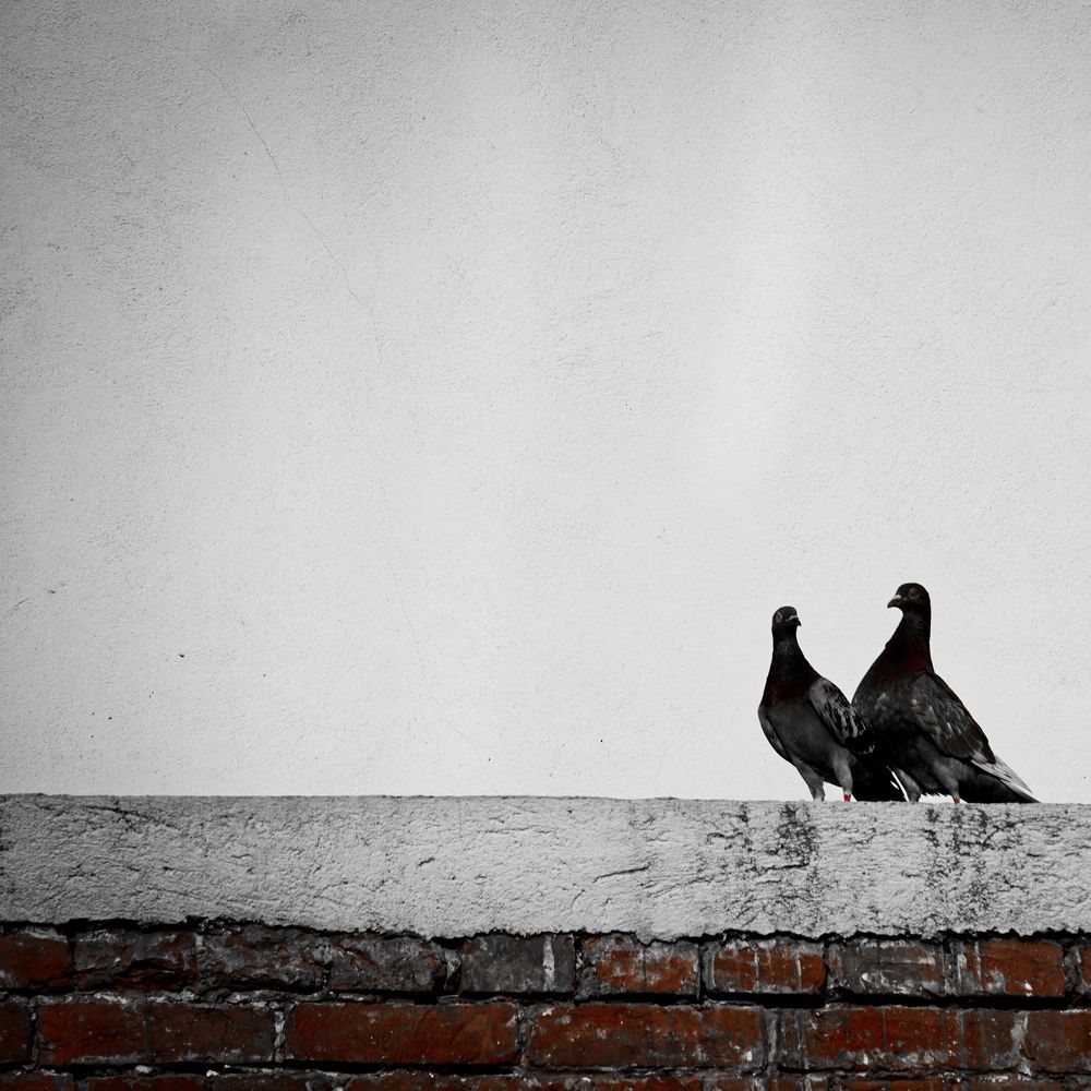 Photograph by Dragos Ivanel