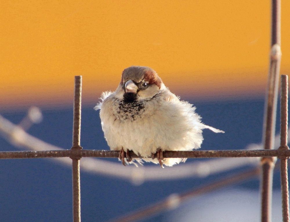 Photograph by Елена Маракулина