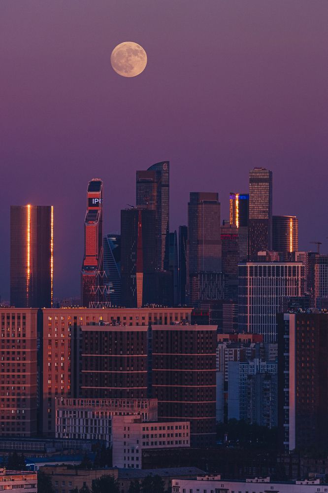 Фотография автора Алексей Звягинцев