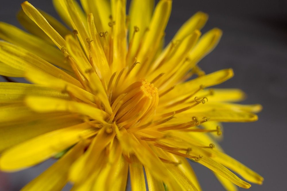 Фотография автора Aлексей Игнатьев