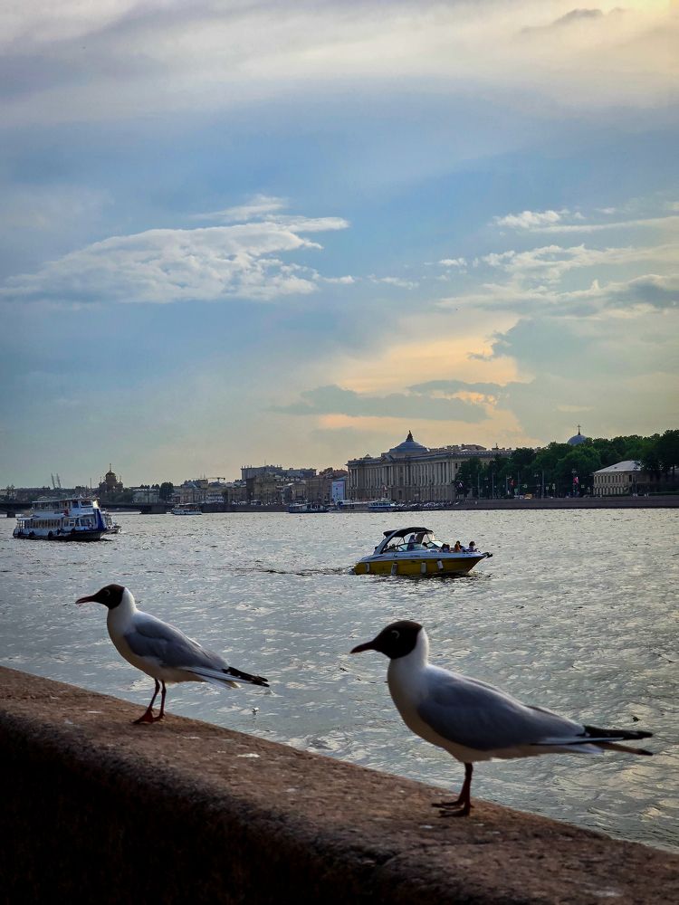 Photograph by Елена Сиушова