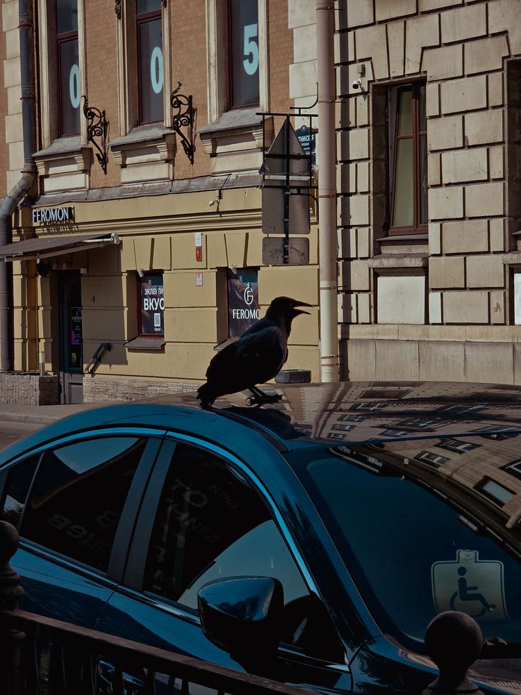 Photograph by Елена Сиушова