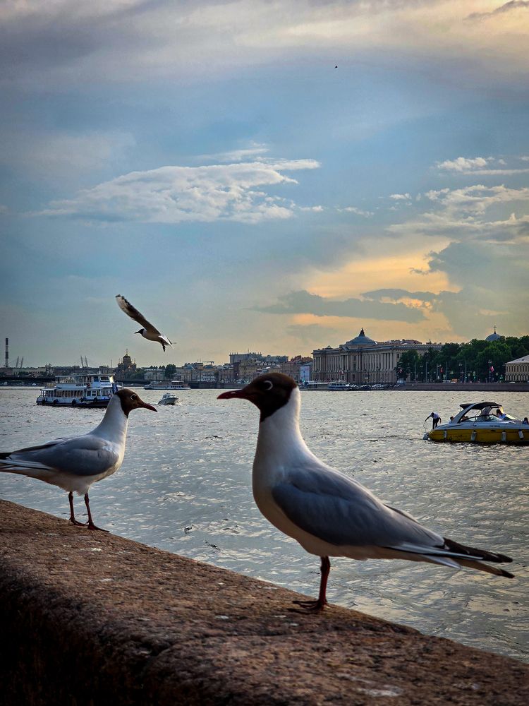 Photograph by Елена Сиушова