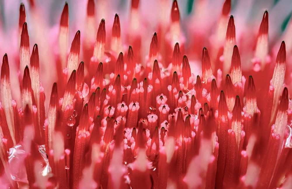 Фотография автора Роман Сергеевич